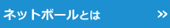 ネットボールとは