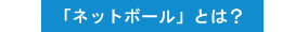 「ネットボール」とは？