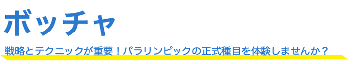 ボッチャ